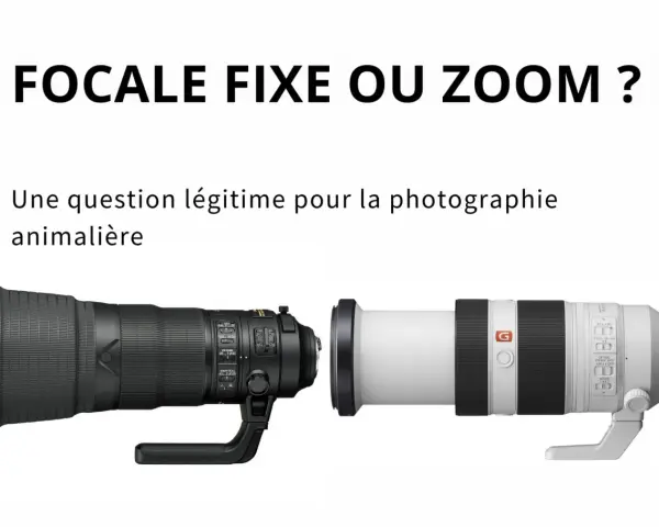 Deux téléobjectifs photo animalière, un noir et un blanc, côte à côte. Lequel choisir pour capturer la faune ?