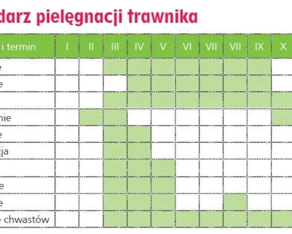 Kalendarz pielęgnacji trawnika: nawożenie, podlewanie, koszenie, wapnowanie, wałowanie, wertykulacja, aeracja, piaskowanie, dosiewanie i zwalczanie chwastów w poszczególnych miesiącach.