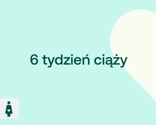 6 tydzień ciąży. Delikatne tło z sercem i ikonami D+ oraz kobiety w ciąży.