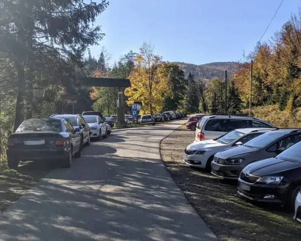 Wielka racza samochodów na leśnym parkingu. Jesienne drzewa i góry w tle.