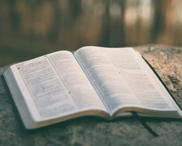 Otwarta Biblia leży na kamieniu, gotowa do czytań na ślub.