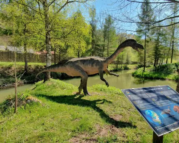 Ostrowiec Świętokrzyski: Atrakcje od UNESCO po dinozaury!