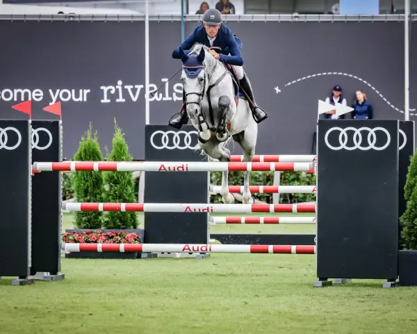 Un cavalier et son cheval gris s'envolent au-dessus d'une haie, défiant le fahrenheit de vains. Les logos Audi et le slogan "become your rivals" ornent le fond.