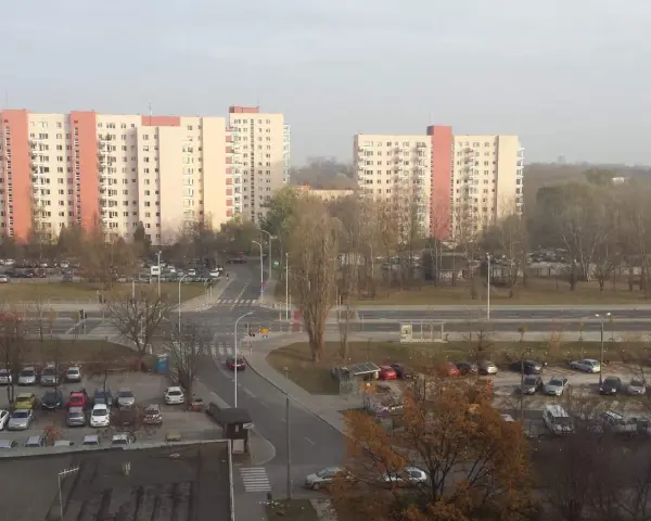 Ustanie członkostwa w spółdzielni: przyczyny, procedury i prawa