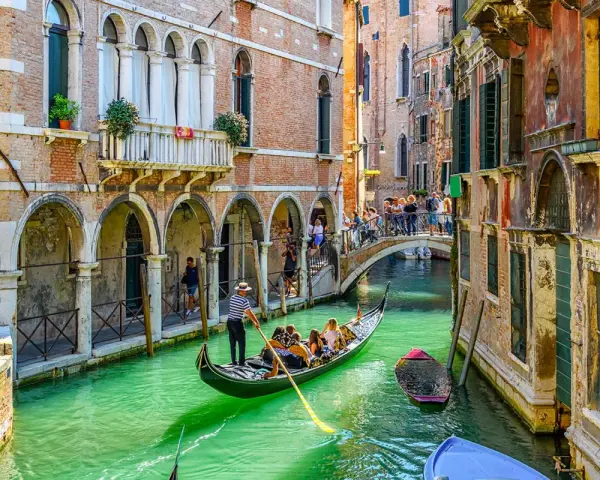 Un gondoliere a Venezia guida una gondola con turisti lungo un canale verde, tra palazzi storici e un ponte affollato.