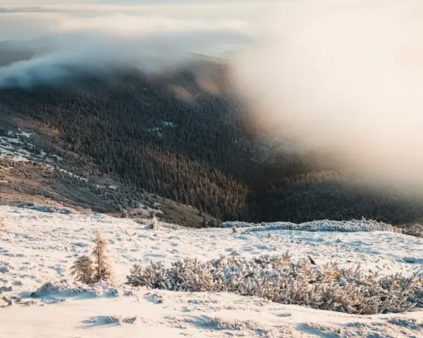 Zimowy krajobraz górski, gdzie mgła otula lasy, a śnieg pokrywa zbocza. Widok przypomina kocioł wielkiego stawu, otoczony mroźnym pięknem.