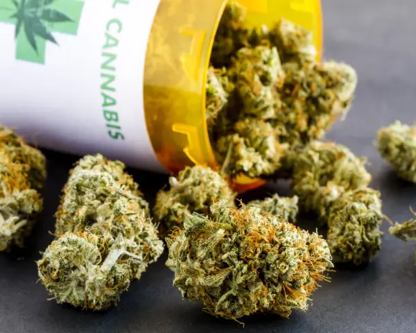 Medyczna marihuana: Recepta w Polsce warunki, proces, koszty