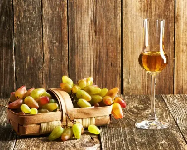 Grappa napój: odkryj różnice między alkoholową a bezalkoholową wersją