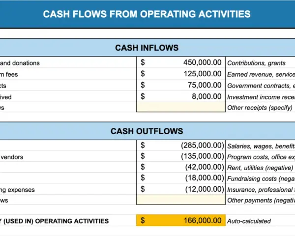 Nonprofit financial planning: A cash flow statement showing inflows from grants, fees, and contracts, and outflows for salaries, rent, and fundraising.