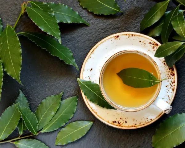 Aromatic napar z liści laurowych w filiżance, otoczony świeżymi liśćmi laurowymi na ciemnym tle.