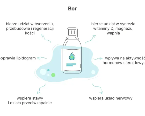 Bor wspiera kości, stawy i układ nerwowy, poprawia lipidogram, wpływa na hormony steroidowe i syntezę witaminy D.