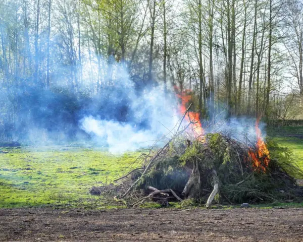 Ogień i dym z palonych gałęzi na podwórku. Uważaj, bo to może być mandat za palenie śmieci.