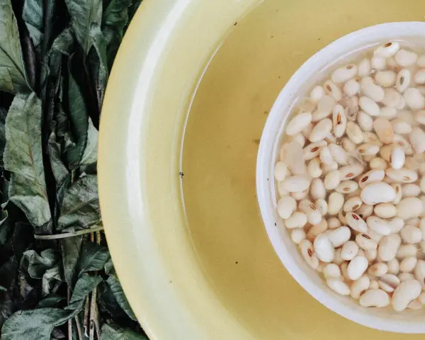 Alubias blancas remojándose en agua, junto a hojas verdes y un cuenco amarillo.