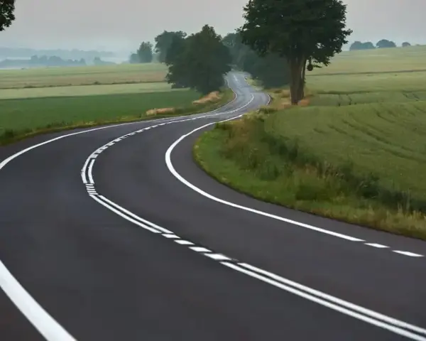 Zakręt drogi z podwójną ciągłą linią, gdzie wyprzedzanie jest zabronione. Pola i drzewa w tle.