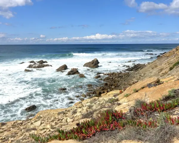 Fischerweg Portugal: Felsenküste mit Wellen, blauem Himmel und Wolken. Sukkulenten wachsen am Hang.