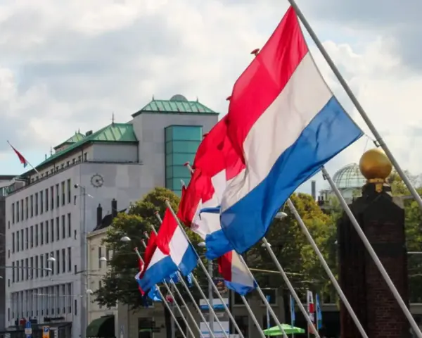 Holenderskie flagi powiewają na wietrze, celebrując dzień wyzwolenia w Holandii.