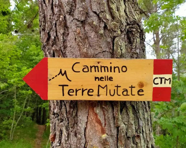 Cartello in legno con freccia rossa indica il "Cammino nelle Terre Mutate". CTM.