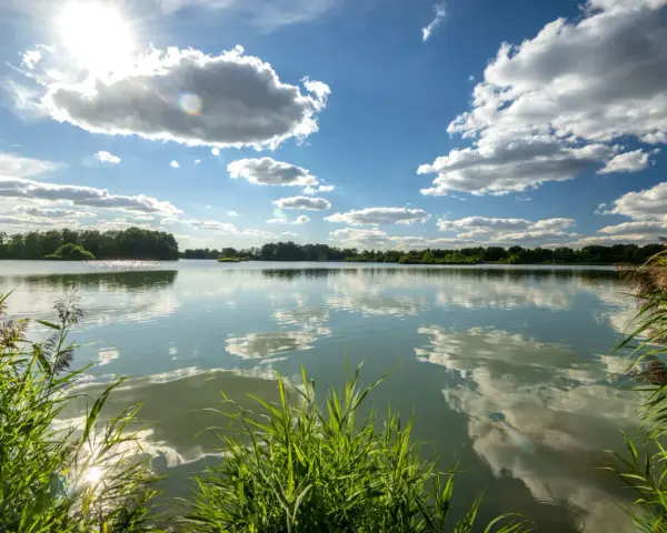 Sonnenschein über dem celle see, mit Wolken, die sich im ruhigen Wasser spiegeln. Schilf säumt das Ufer.