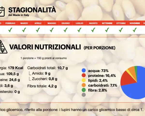 I lupini sono legumi nutrienti, disponibili tutto l'anno. Ecco i loro valori nutrizionali per porzione: 179 Kcal, 24,6g proteine, 10,7g carboidrati.