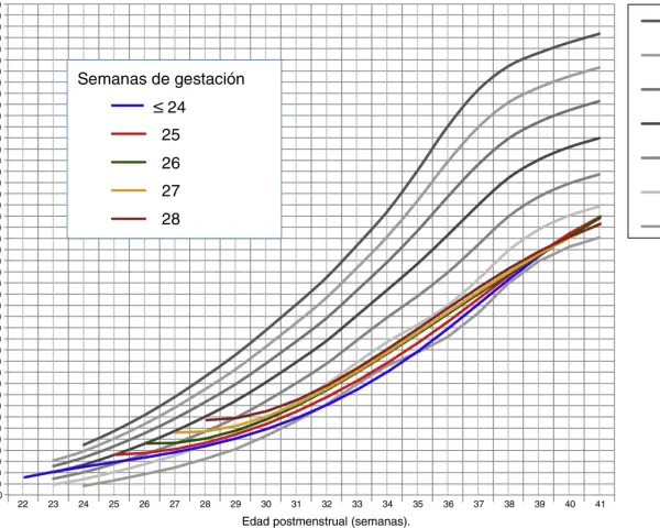 Gráfico de peso fetal por semanas de gestación, mostrando percentiles. El producto nacional neto se relaciona con el crecimiento.
