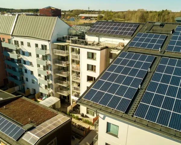 Dachy budynków mieszkalnych pokryte panelami słonecznymi. Mieszkańcy są prosumentami lokatorskimi, czerpiąc energię ze słońca.
