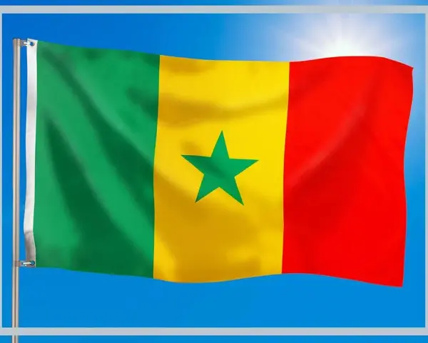 Jak wygląda flaga Senegalu? Odkryj jej kolory i symbolikę