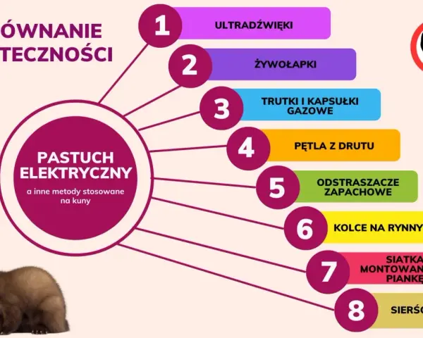 Porównanie skuteczności metod co odstrasza kuny: pastuch elektryczny, ultradźwięki, żywołapki, trutki, odstraszacze zapachowe, sierść psa i inne.
