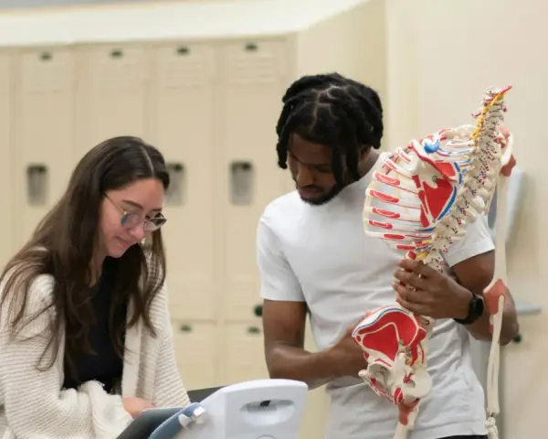 Zwei Studierende lernen Anatomie. Sie diskutieren, wo sie ihr Praktikum machen sollen, während sie ein Skelettmodell betrachten.