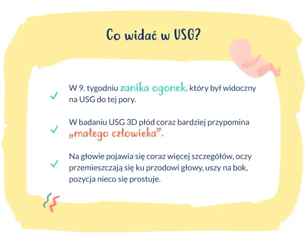 W 9. tygodniu ciąży, który to miesiąc rozwoju, płód na USG przypomina "małego człowieka". Zanika ogonek, pojawiają się szczegóły na głowie.