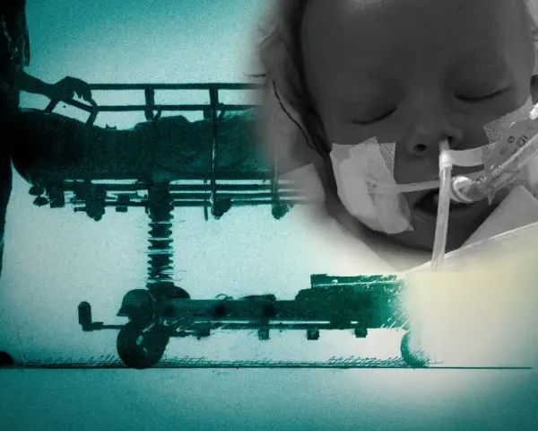 Echo serca czy EKG? Odkryj, co naprawdę widzi Twoje serce