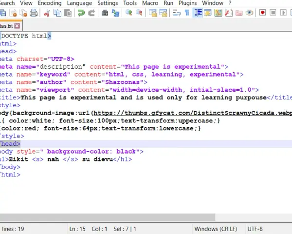 Pierwsza strona WWW w Notepad++? Prosty poradnik HTML od zera!