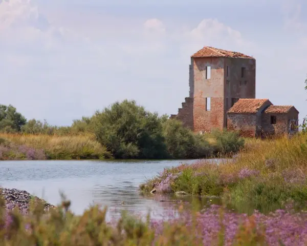 Rovine di un antico edificio tra canneti e fiori viola, un paesaggio suggestivo nei dintorni di Ferrara.