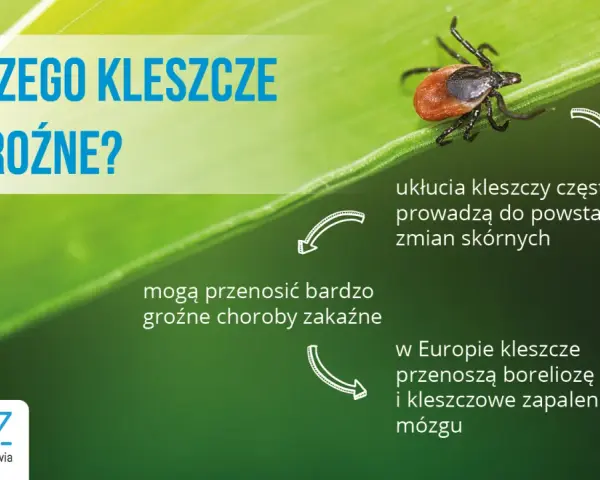 Kleszcz w pralce: Czy przeżyje? Jak go zabić na pewno?