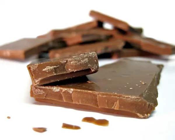 En hög med chokladbitar, några staplade, andra utspridda. Chokladfinnarna ser sega och söta ut.