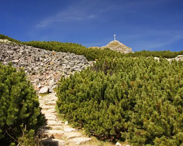 Kamienista ścieżka, niebieski szlak na Giewont, wśród kosodrzewin i skalistych zboczy. Na szczycie widoczny krzyż.