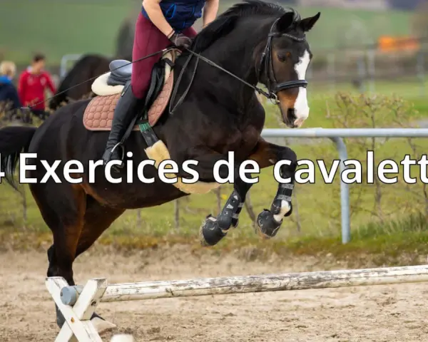 Un cheval brun saute par-dessus un obstacle de **cavaletti équitation**. Le cavalier est en selle, prêt pour l'entraînement.