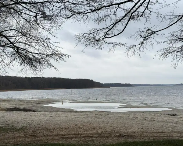 Plaża nad jeziorem, z widokiem na las. W oddali widać słupy, być może pozostałości po dawnej infrastrukturze pola namiotowego Anastazewo.