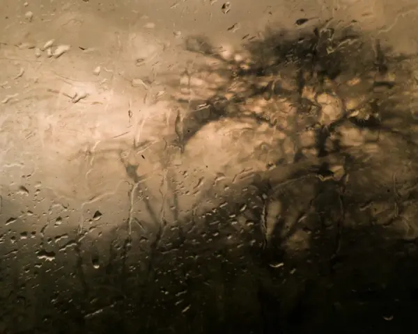 Gouttes de pluie sur une vitre, floutant l'ombre d'un arbre. Belles photos sous la pluie, une ambiance mélancolique et artistique.