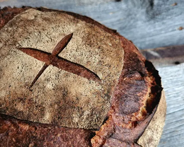 Ein frisch gebackenes Brot mit dunkler Kruste und einem Kreuzschnitt. So wird selbstgebackenes Brot dunkel: durch die Maillard-Reaktion beim Backen.