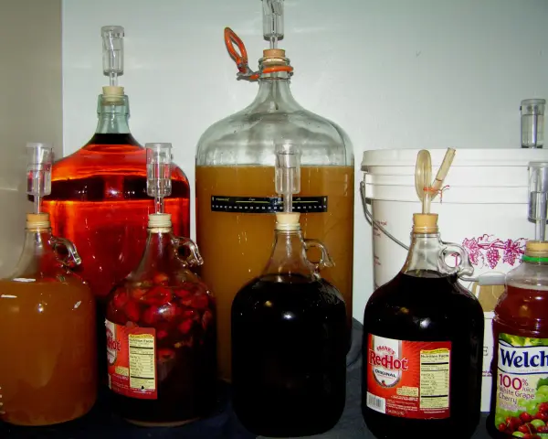 Wiele butli z fermentującym winem własnej produkcji, w tym z owocami i sokiem.
