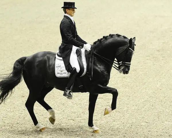 Un cavalier en habit de soirée monte un cheval noir, Totilas, dans une arène de dressage.