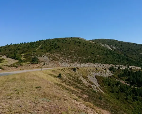 Carretera serpenteante en un paso de montaña cubierto de vegetación y árboles.