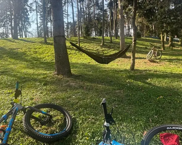 Relaks po przejażdżce po trasach rowerowych okolic Warszawy. Hamak i rowery czekają na odpoczynek w lesie.