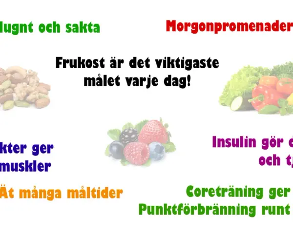 Frukost, nötter, bär och grönsaker för att bli av med fett. Morgonpromenader och coreträning ger punktförbränning runt magen.