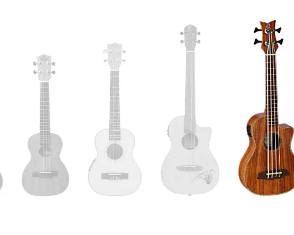 Eine Reihe von Ukulelen und einer Bassgitarre, ideal für die Musikschule.
