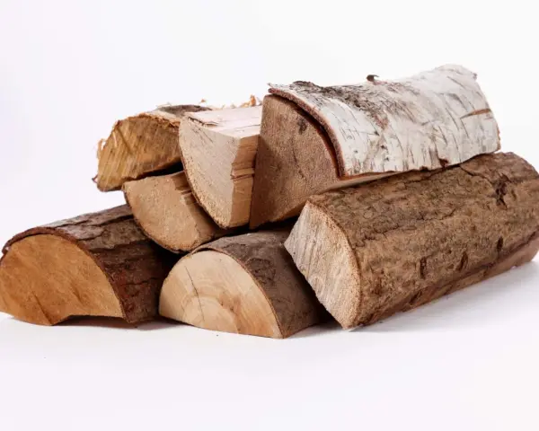 Un tas de bois g1, certains avec écorce, d'autres coupés, prêts pour un feu de cheminée.