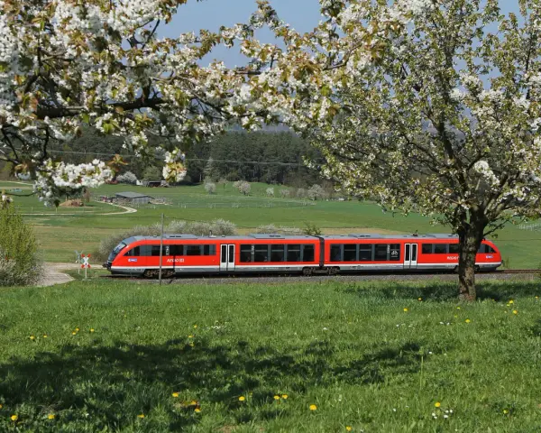 Czerwony pociąg REGIO mija kwitnące drzewa. Może to pociąg do Budapesztu?