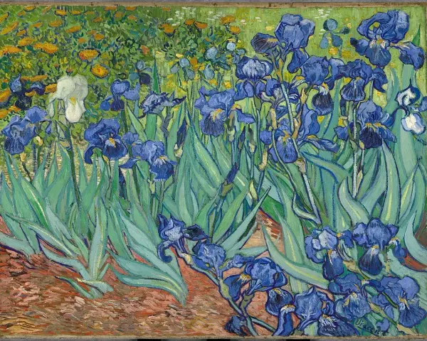 Un jardin d'iris bleus et une iris blanche, baigné de lumière. Une œuvre post-impressionniste vibrante de couleurs.