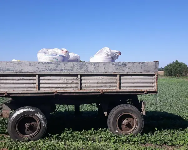Ile nawozów mineralnych na hektar? Sprawdź, jak zmniejszyć koszty.