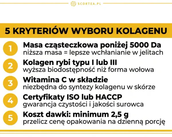 5 kryteriów wyboru kolagenu: masa cząsteczkowa, kolagen rybi, witamina C, certyfikaty, koszt dawki. Poznaj efekty stosowania kolagenu rybiego.